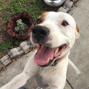 Meet your Posher, Fernanda